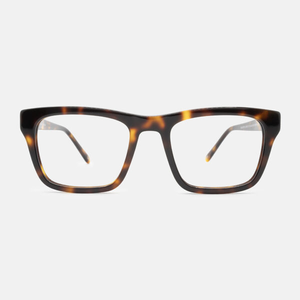 BH OPTICS 3003 - HAVANA